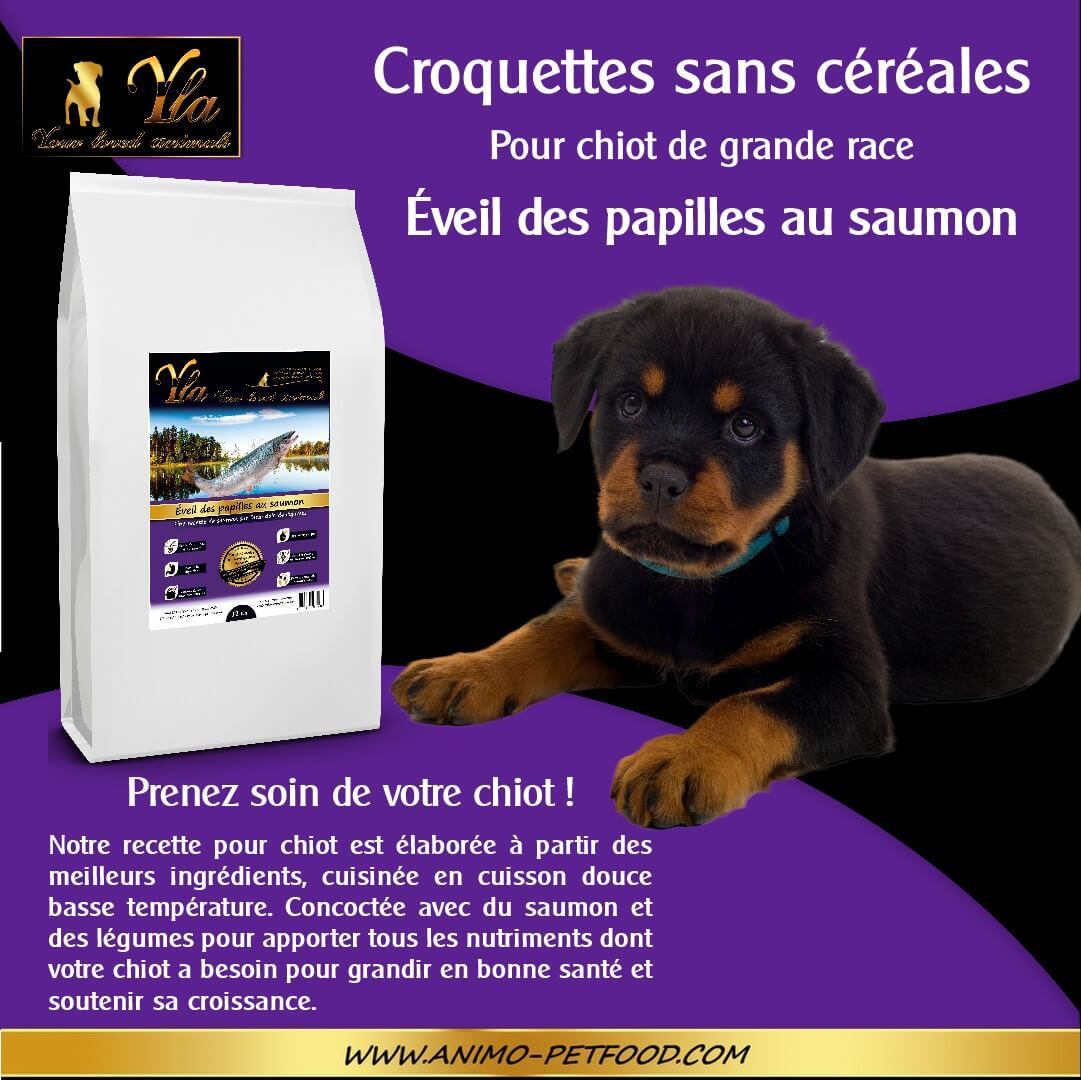 croquettes-sans-cereale-au-saumon-pour-chiot-grande-race